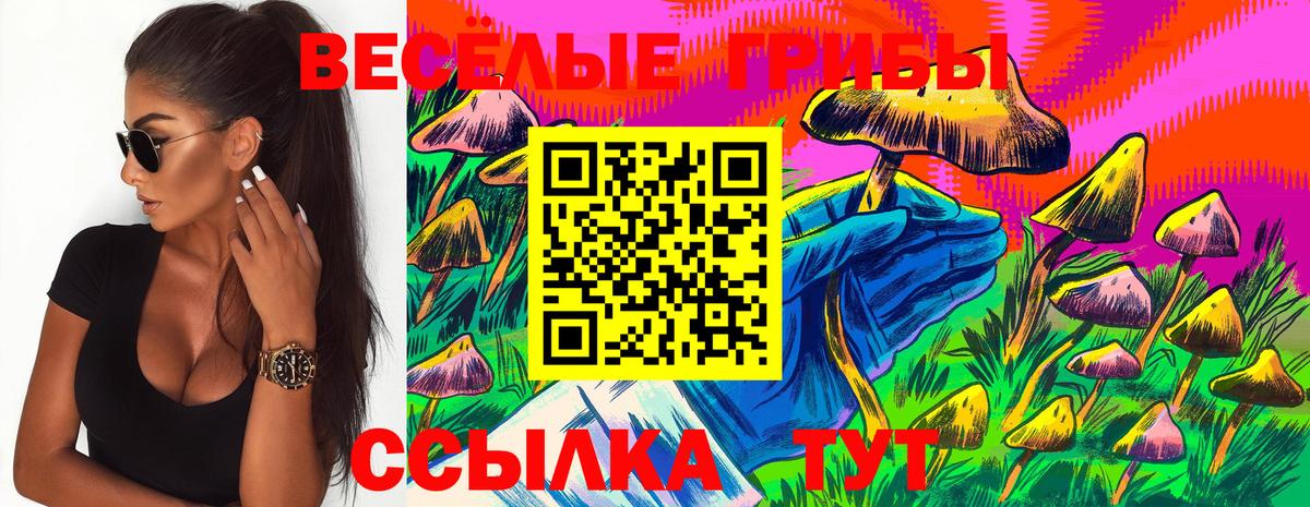 Псилоцибиновые грибы MAGIC MUSHROOMS Воскресенск